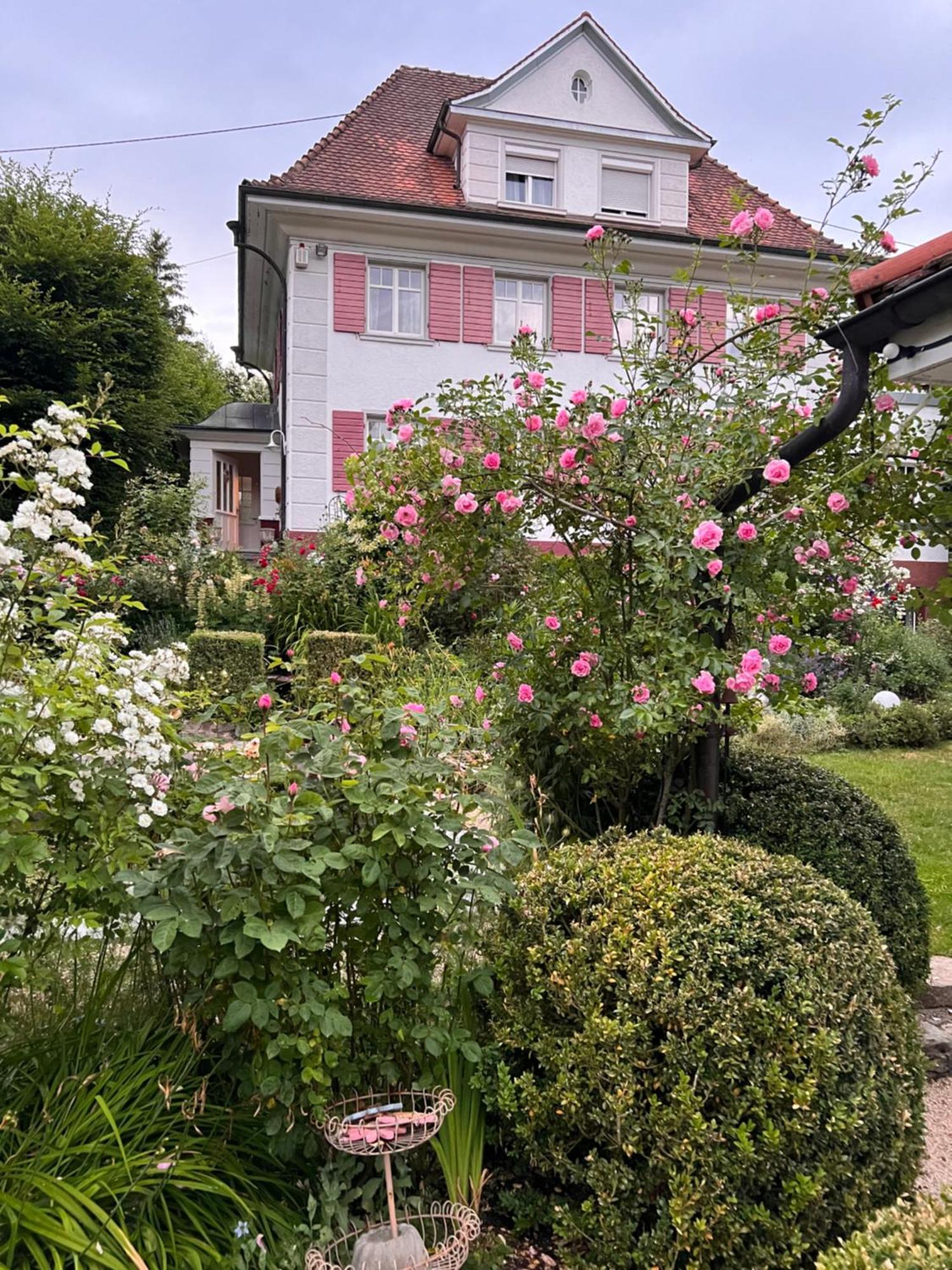 B&B Rosenliebe Niedereschach Eksteriør bilde